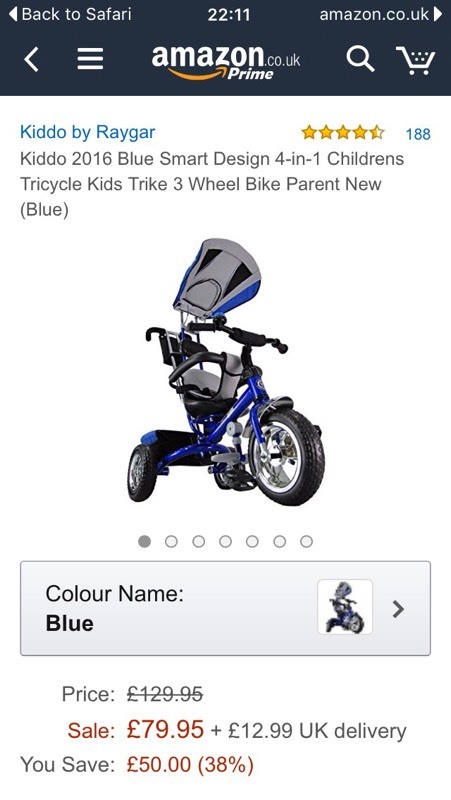 raygar trike
